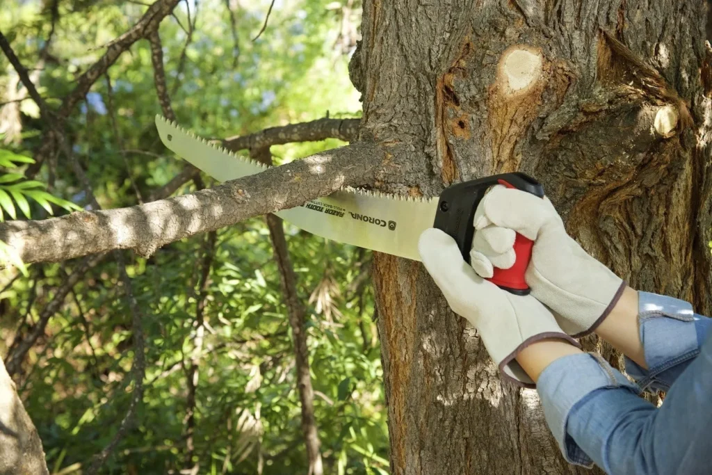 Bow Saw camping